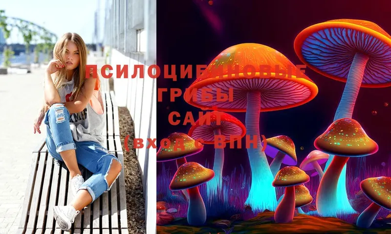 Галлюциногенные грибы Magic Shrooms  купить  цена  Мосальск 